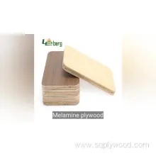 Melamine Coated Waterproof Plywood (1220x2440mm)